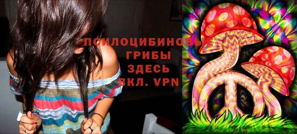 прущие крисы Алексин