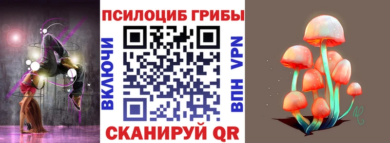 Псилоцибиновые грибы GOLDEN TEACHER продажа наркотиков Кирсанов
