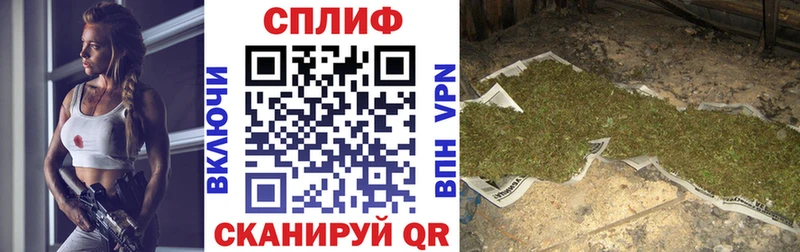 Бошки Шишки сатива  OMG как войти  Кирсанов 